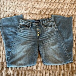 GAP High Rise 8/29 X-Long | Button Fly